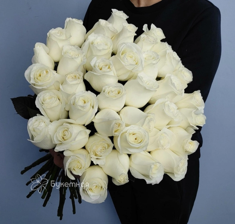 Роза Проуд 50 см