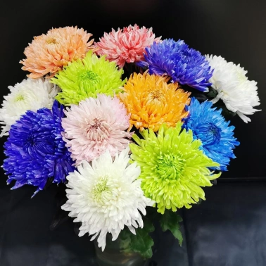 Хризантема одноголовая Магнум