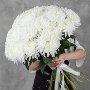 Хризантема Антонов 0