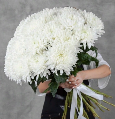 Хризантема Антонов