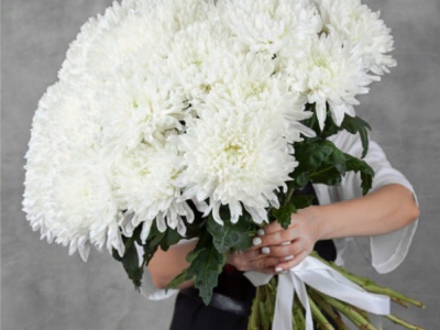 Хризантема Антонов