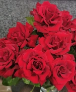 Французская роза Эксплорер 40 см 0