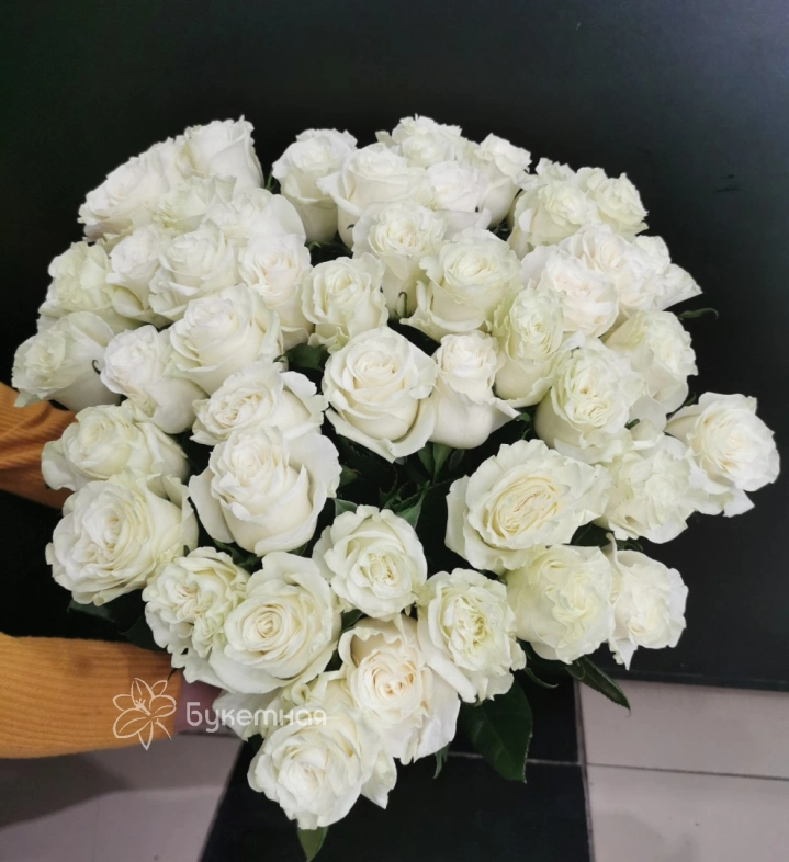 Роза Мондиал 60см