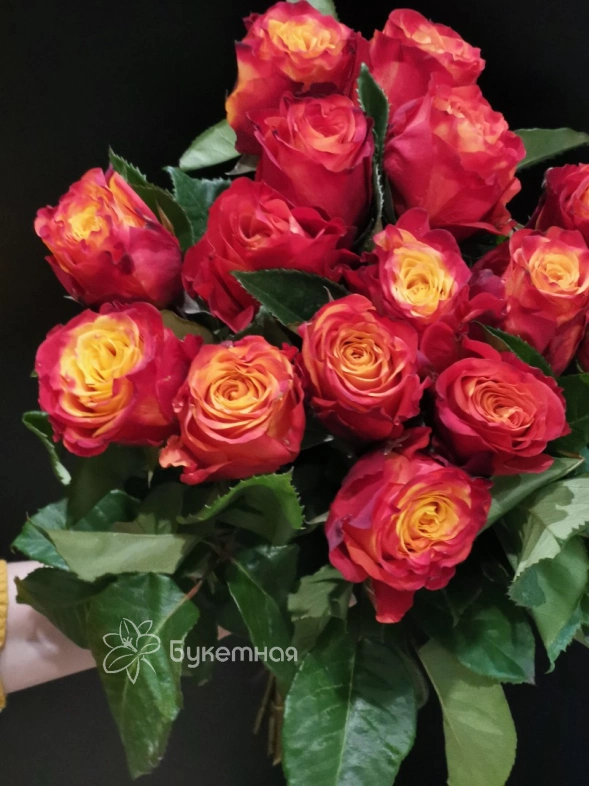 Роза Атомик 50см