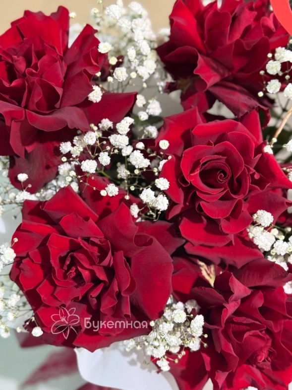 Композиция &laquo;Яркий роман&raquo;