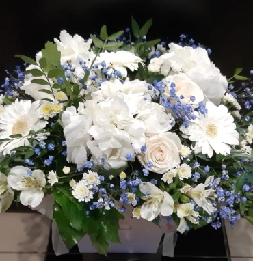 Композиция «Моей половинке»