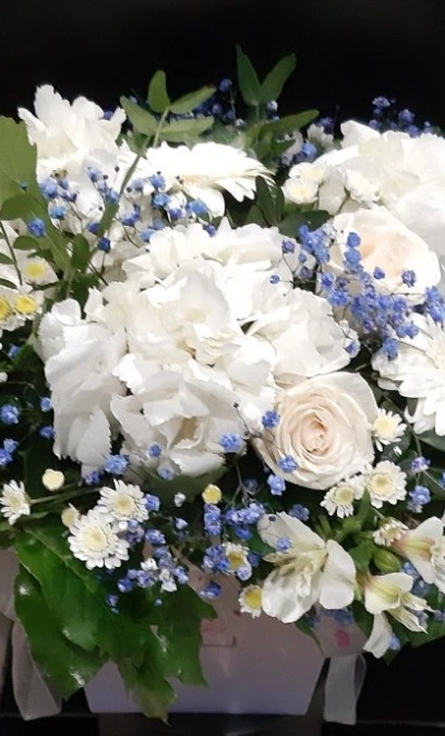 Композиция «Моей половинке»