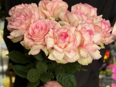 Букет моно «Эсперанса 9 шт»