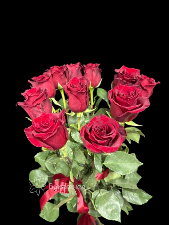 Высокая роза "Эксплорер" 11 шт