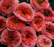 Букет &laquo;Мандарин&raquo; 2