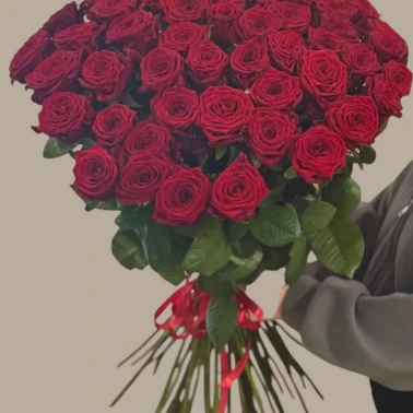 Букет «Бордовые розы 51 шт»