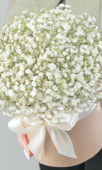 Композиция «Линда»