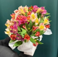 Яркая сумочка &laquo;Сказка&raquo; 1