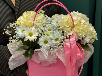 Стильная сумочка «Сага»