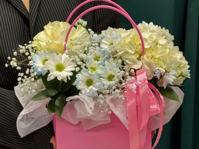 Стильная сумочка «Сага»