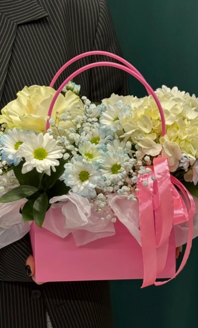 Стильная сумочка «Сага»