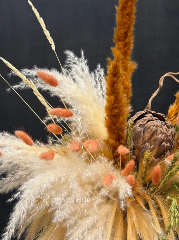 Композиция &laquo;Протея&raquo;