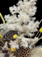 Композиция &laquo;Краспедия&raquo; 1