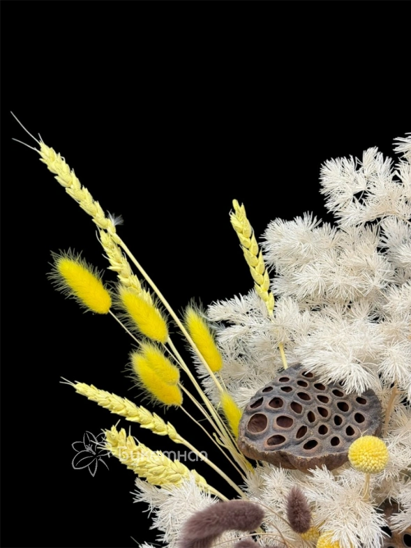 Композиция &laquo;Краспедия&raquo;