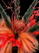 Композиция &laquo;ПРО&raquo; 1