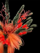 Композиция &laquo;ПРО&raquo; 2