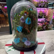 Композиция &laquo;Сказка&raquo; 1