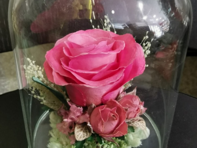 Лаконичный комплимент