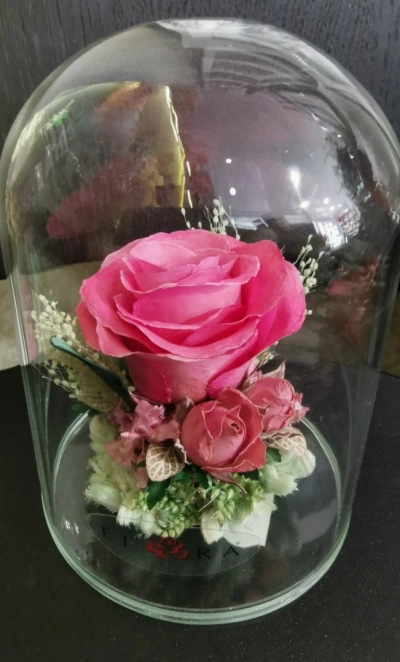 Лаконичный комплимент