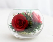 Мое очарование 0