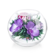 Цветной шар 0