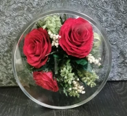 Праздничное утро 0