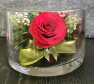 Праздничное утро 1