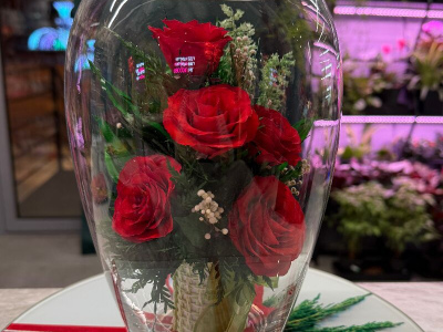 «От всей души»