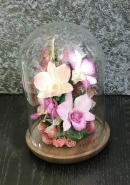 Только тебе 0