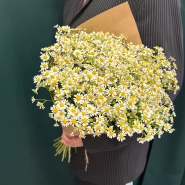Букет &laquo;Ромашка&raquo; 3