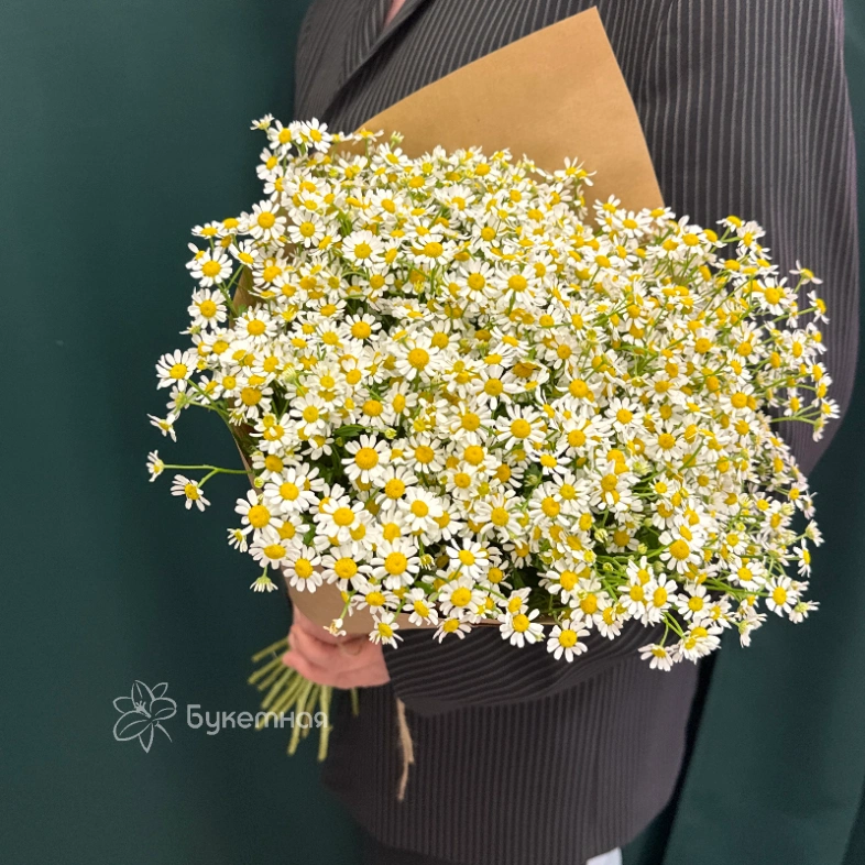 Букет &laquo;Ромашка&raquo;