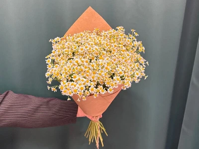 Букет «Ромашка»