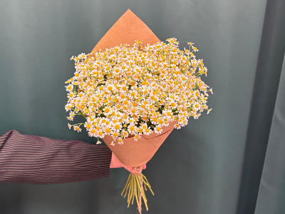 Букет «Ромашка»