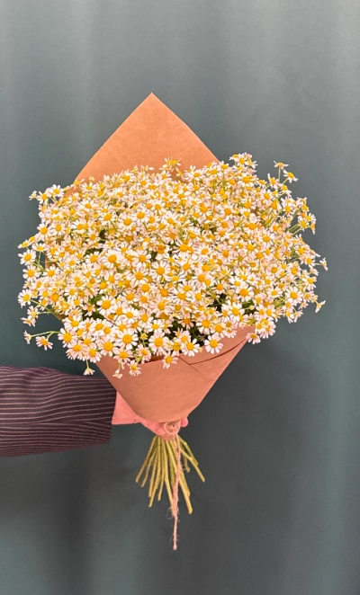 Букет «Ромашка»