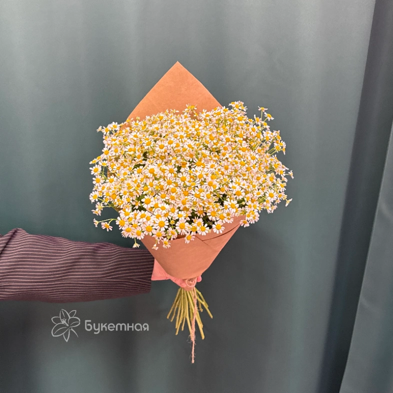 Букет &laquo;Ромашка&raquo;