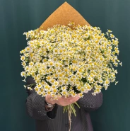 Букет &laquo;Ромашка&raquo; 2