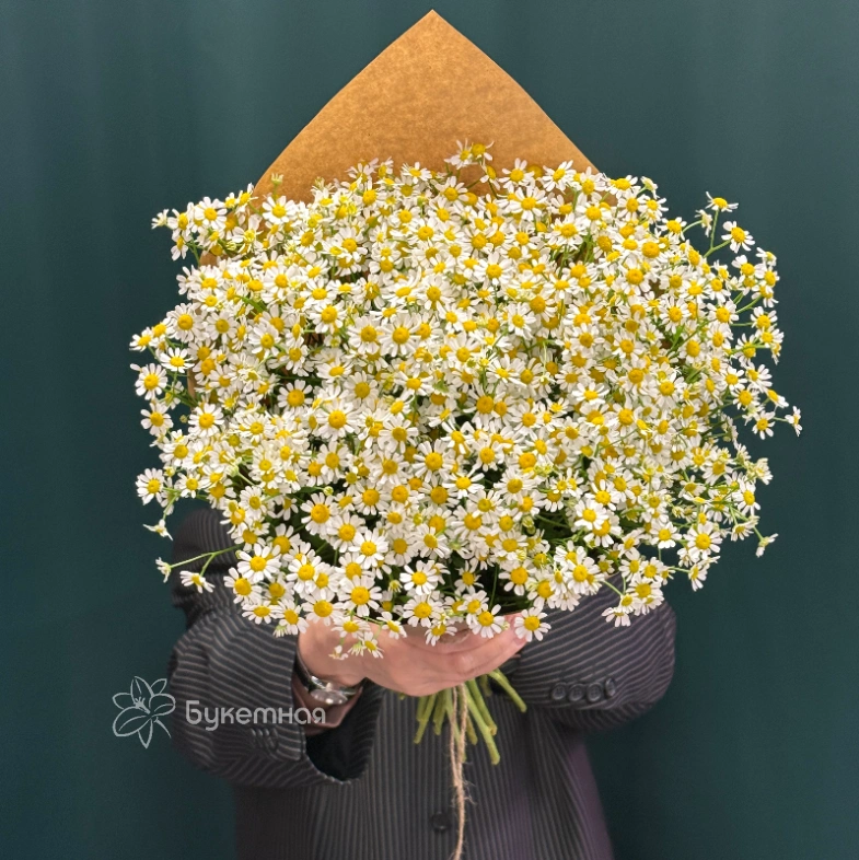 Букет &laquo;Ромашка&raquo;