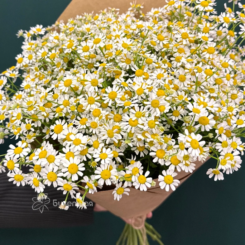 Букет &laquo;Ромашка&raquo;