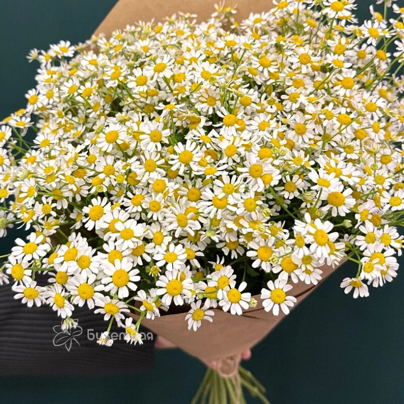 Букет &laquo;Ромашка&raquo;