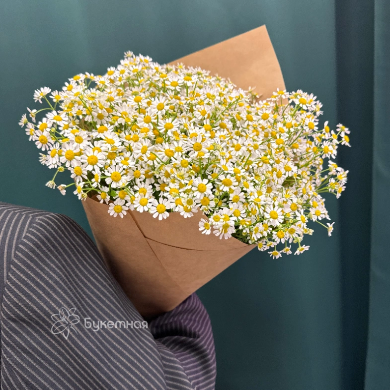 Букет &laquo;Ромашка&raquo;