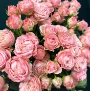 Букет &laquo; Мадам Бомбастик&raquo; 3