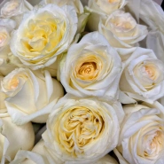 Букет &laquo;Канделайт&raquo; 4