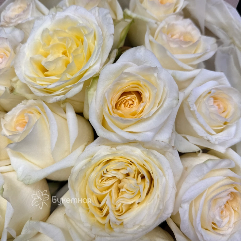 Букет &laquo;Канделайт&raquo;