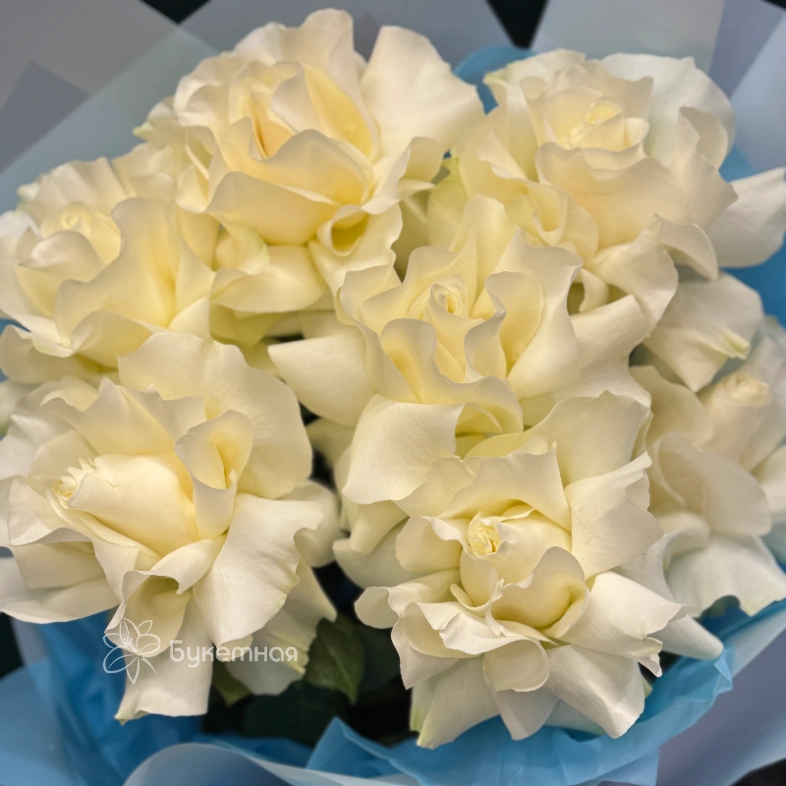 Букет &laquo;Бланш&raquo;