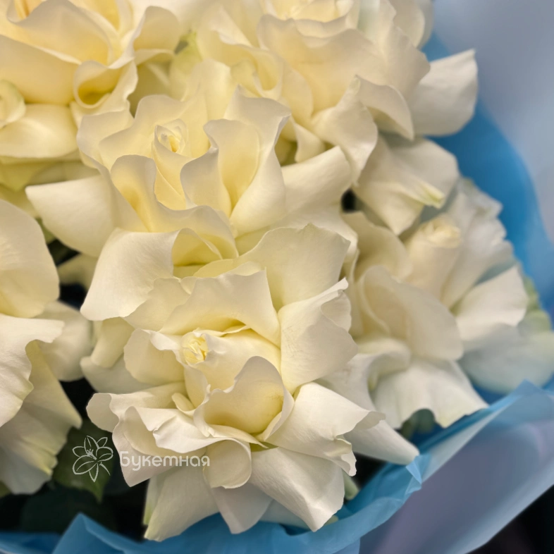 Букет &laquo;Бланш&raquo;